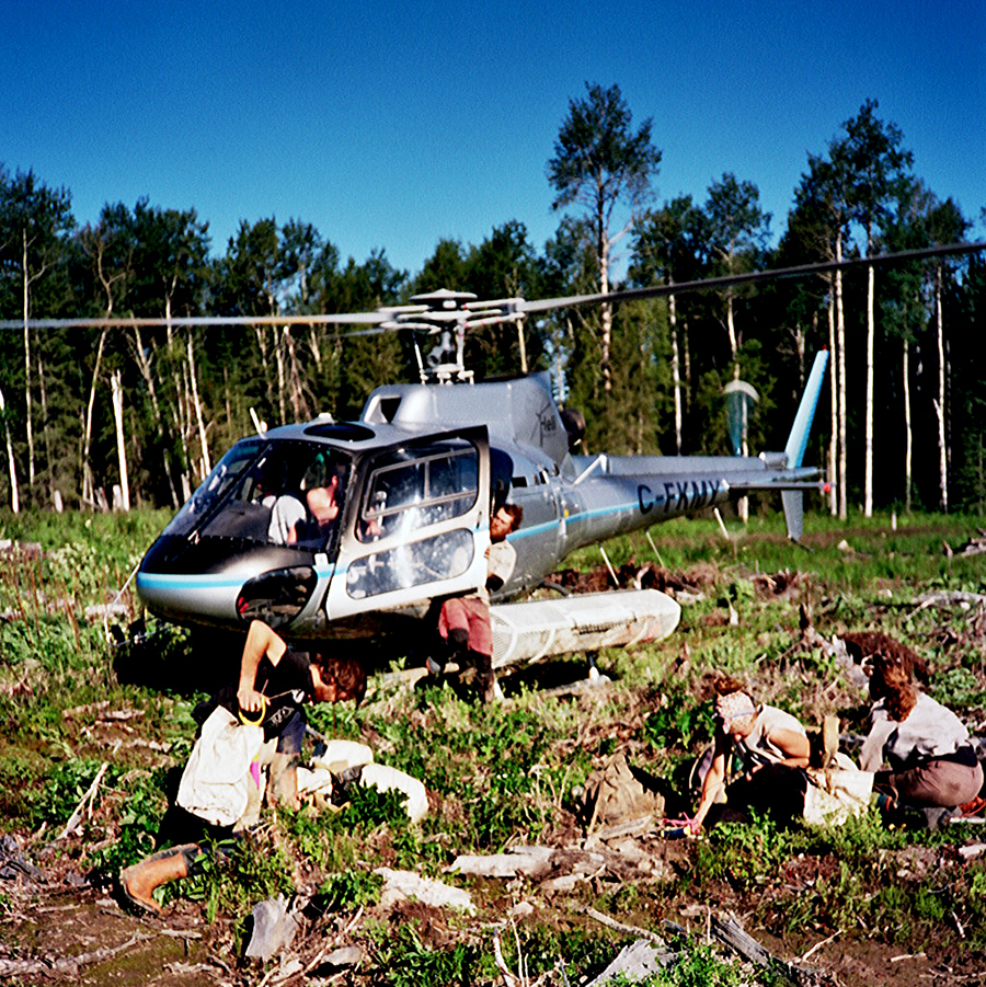 Photo